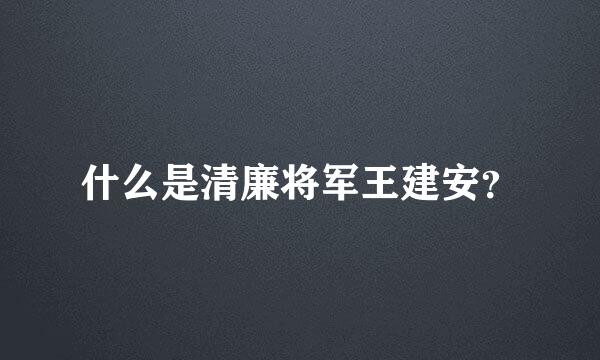 什么是清廉将军王建安？