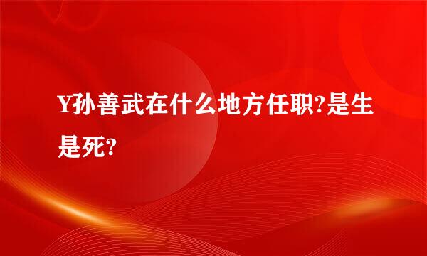 Y孙善武在什么地方任职?是生是死?