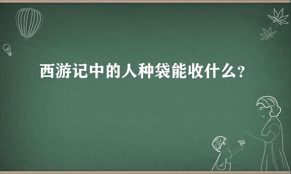 西游记中的人种袋能收什么？