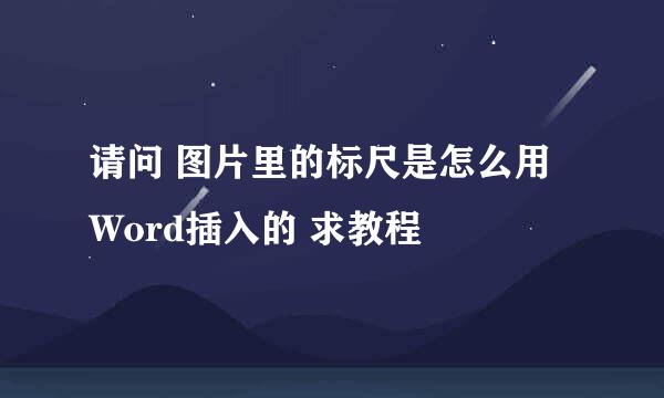 请问 图片里的标尺是怎么用Word插入的 求教程