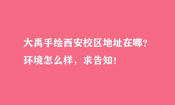 大禹手绘西安校区地址在哪？环境怎么样，求告知！