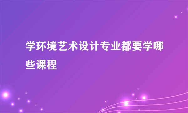 学环境艺术设计专业都要学哪些课程