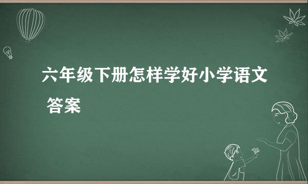 六年级下册怎样学好小学语文 答案