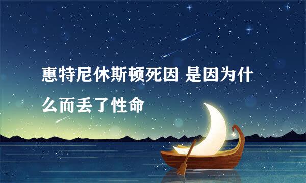 惠特尼休斯顿死因 是因为什么而丢了性命