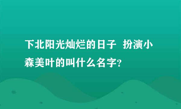 下北阳光灿烂的日子  扮演小森美叶的叫什么名字？