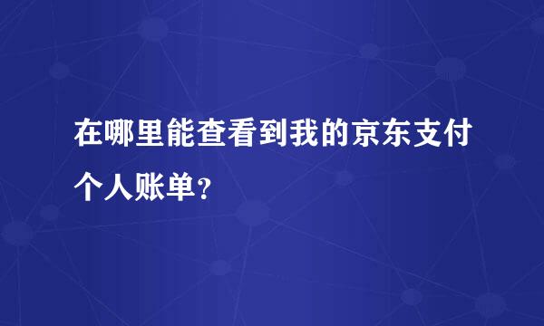 在哪里能查看到我的京东支付个人账单？