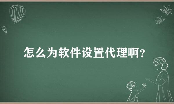 怎么为软件设置代理啊？