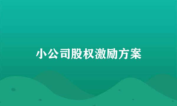 小公司股权激励方案