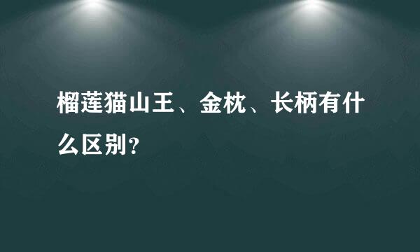 榴莲猫山王、金枕、长柄有什么区别？