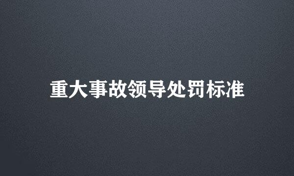 重大事故领导处罚标准