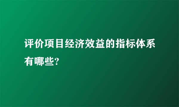 评价项目经济效益的指标体系有哪些?