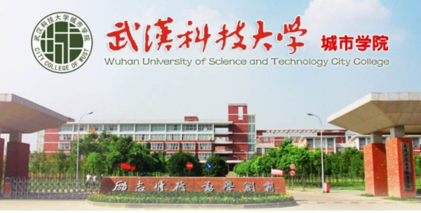 武汉科技大学城市学院的代码是多少啊