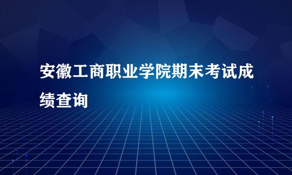 安徽工商职业学院期末考试成绩查询