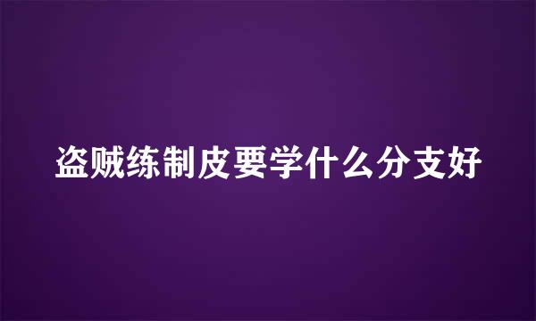 盗贼练制皮要学什么分支好