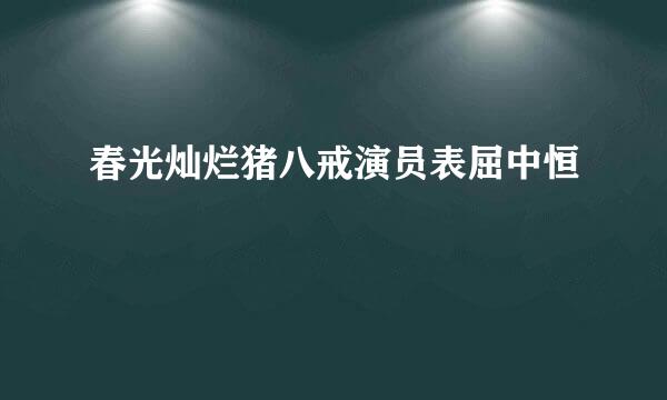 春光灿烂猪八戒演员表屈中恒