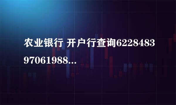 农业银行 开户行查询6228483970619887210