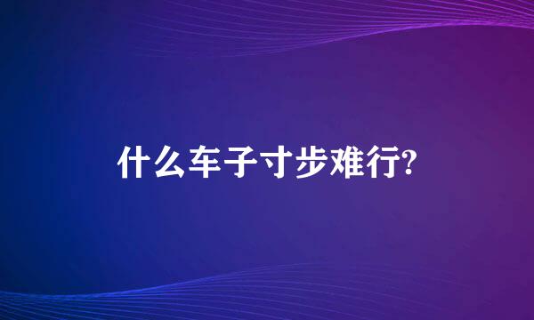 什么车子寸步难行?