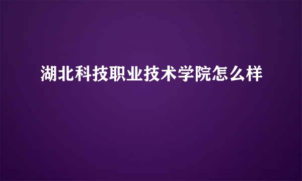 湖北科技职业技术学院怎么样