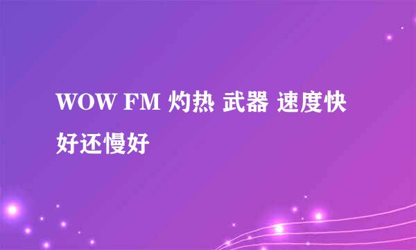 WOW FM 灼热 武器 速度快好还慢好