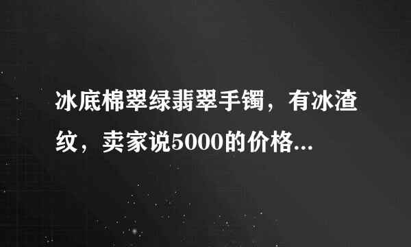 冰底棉翠绿翡翠手镯，有冰渣纹，卖家说5000的价格，请问专家这个价格漏吗？