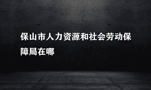 保山市人力资源和社会劳动保障局在哪