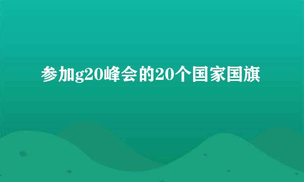 参加g20峰会的20个国家国旗