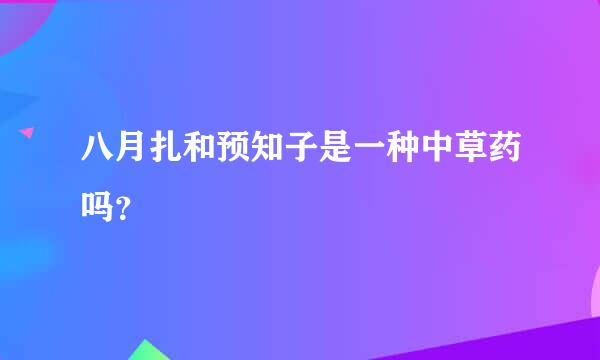 八月扎和预知子是一种中草药吗？