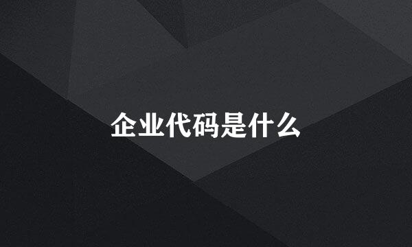 企业代码是什么