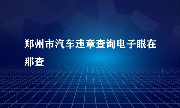 郑州市汽车违章查询电子眼在那查