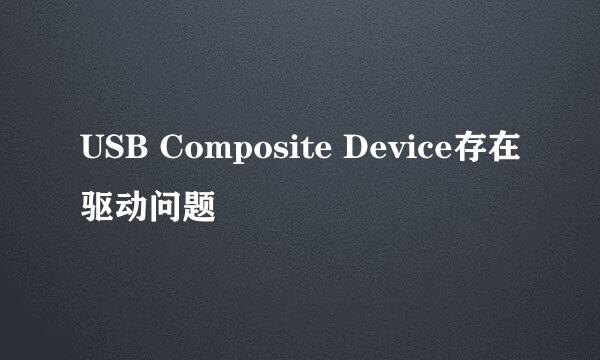 USB Composite Device存在驱动问题