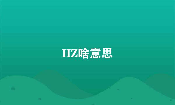 HZ啥意思