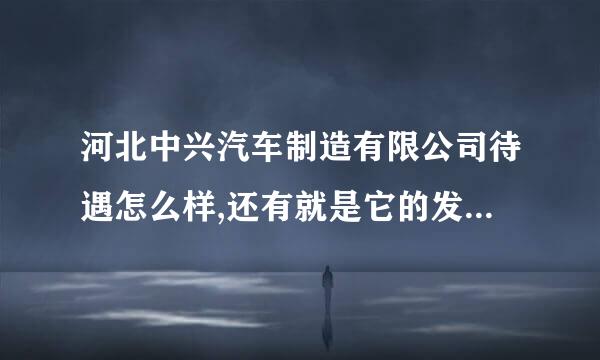 河北中兴汽车制造有限公司待遇怎么样,还有就是它的发展前途如何,请知道的朋友说一下,不胜感谢.