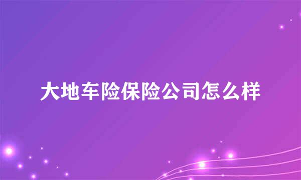 大地车险保险公司怎么样