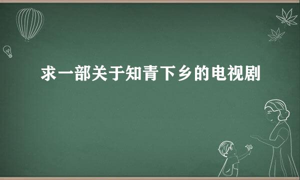 求一部关于知青下乡的电视剧