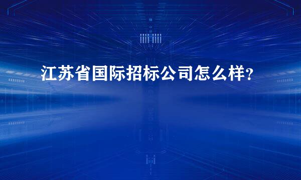 江苏省国际招标公司怎么样？