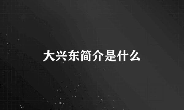 大兴东简介是什么