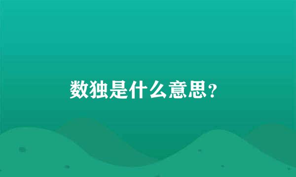 数独是什么意思？