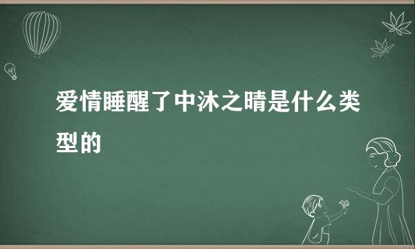 爱情睡醒了中沐之晴是什么类型的