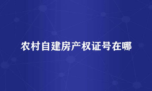 农村自建房产权证号在哪