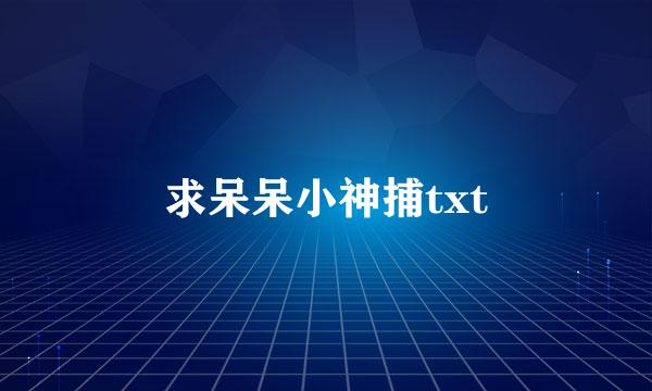 求呆呆小神捕txt