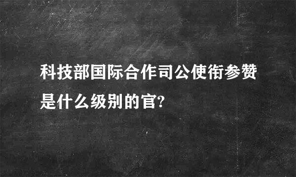 科技部国际合作司公使衔参赞是什么级别的官?