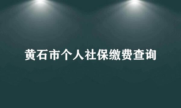 黄石市个人社保缴费查询