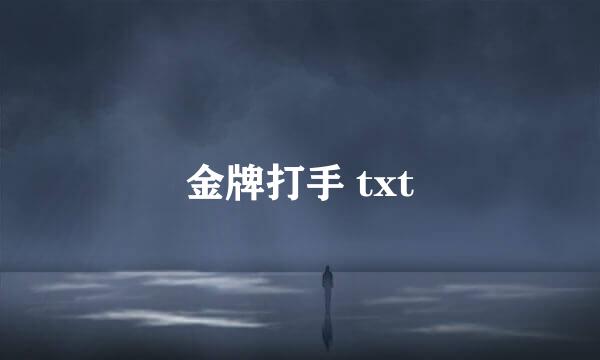 金牌打手 txt