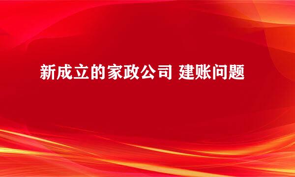 新成立的家政公司 建账问题