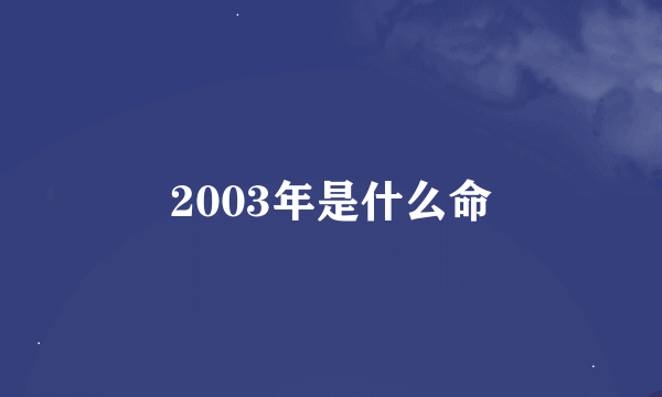 2003年是什么命