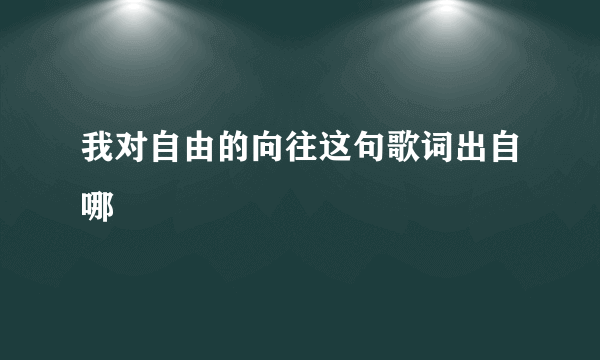 我对自由的向往这句歌词出自哪