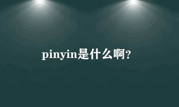 pinyin是什么啊？