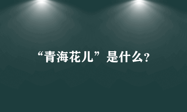 “青海花儿”是什么？