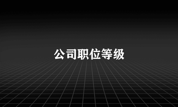 公司职位等级