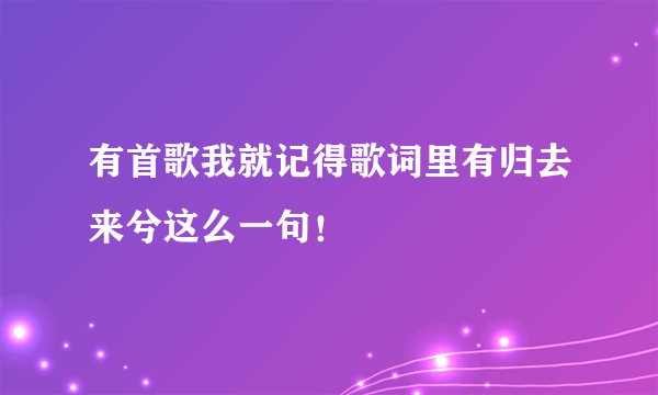 有首歌我就记得歌词里有归去来兮这么一句！